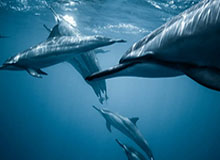 九游体育娱乐——开启您的极致体育体验